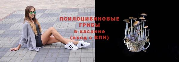 твердый Абинск