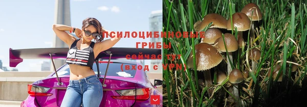 твердый Абинск