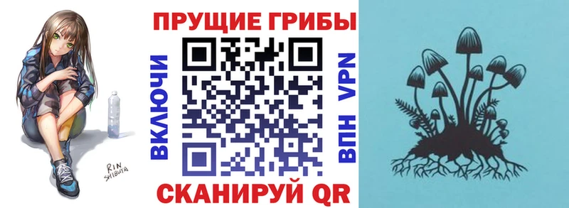 Псилоцибиновые грибы Psilocybine cubensis  где купить наркотик  Темников 
